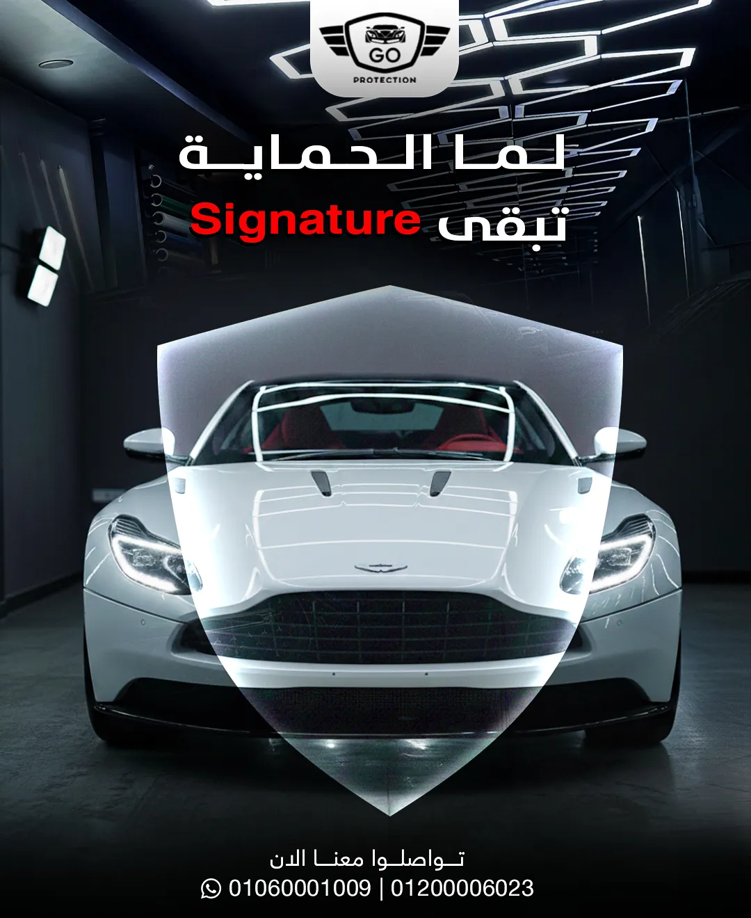 Project Visual 12