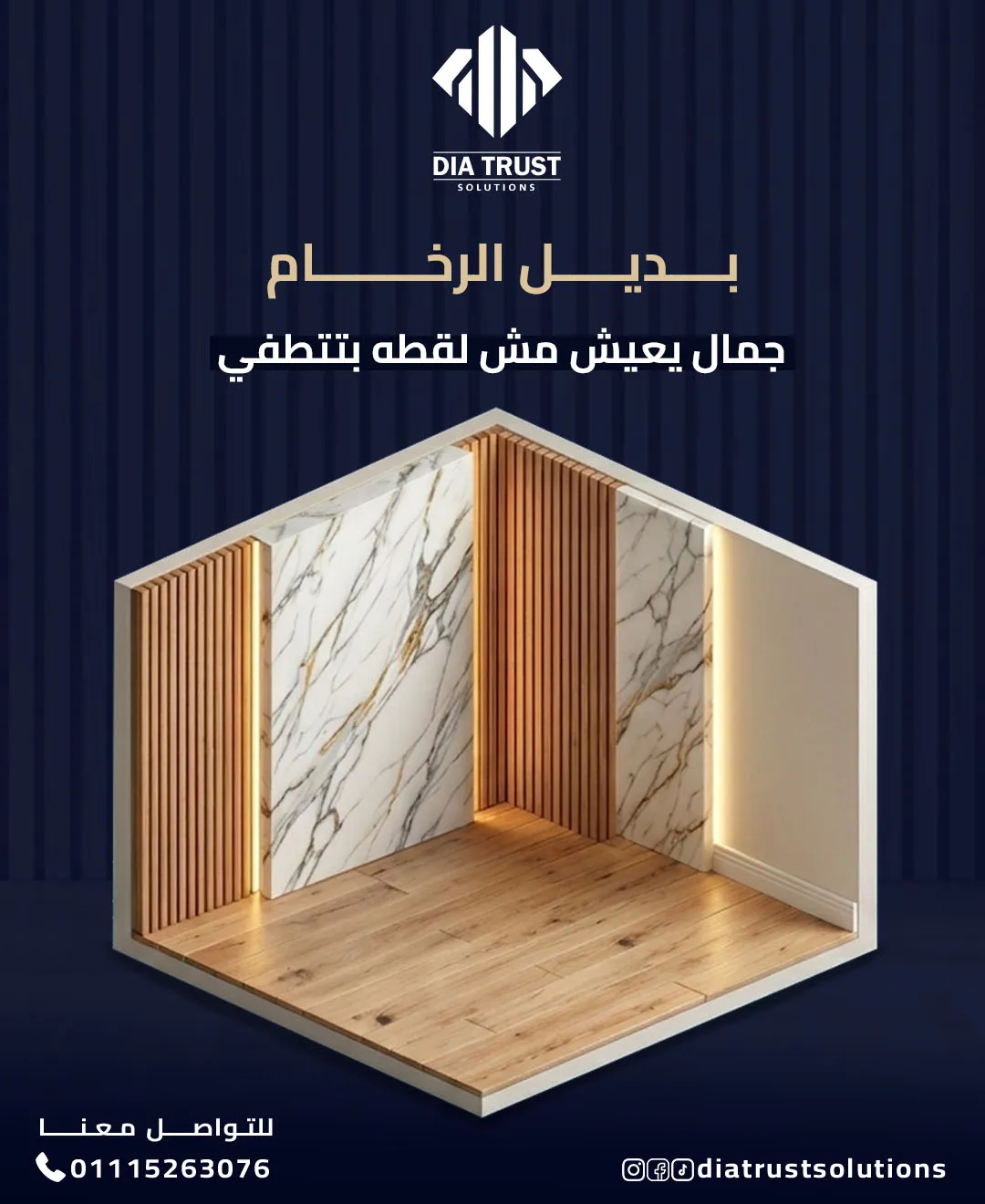 Project Visual 24